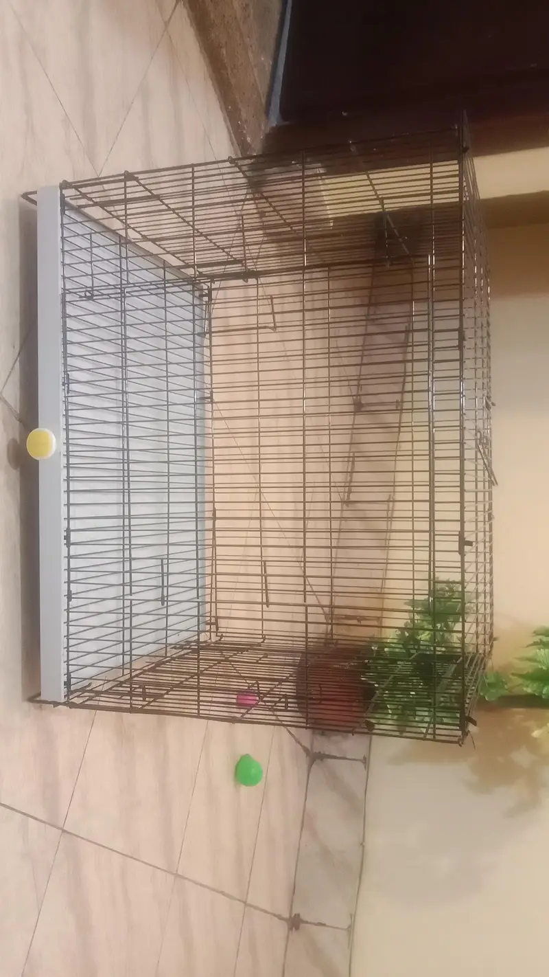 Kitten steel cage & box — photo 4
