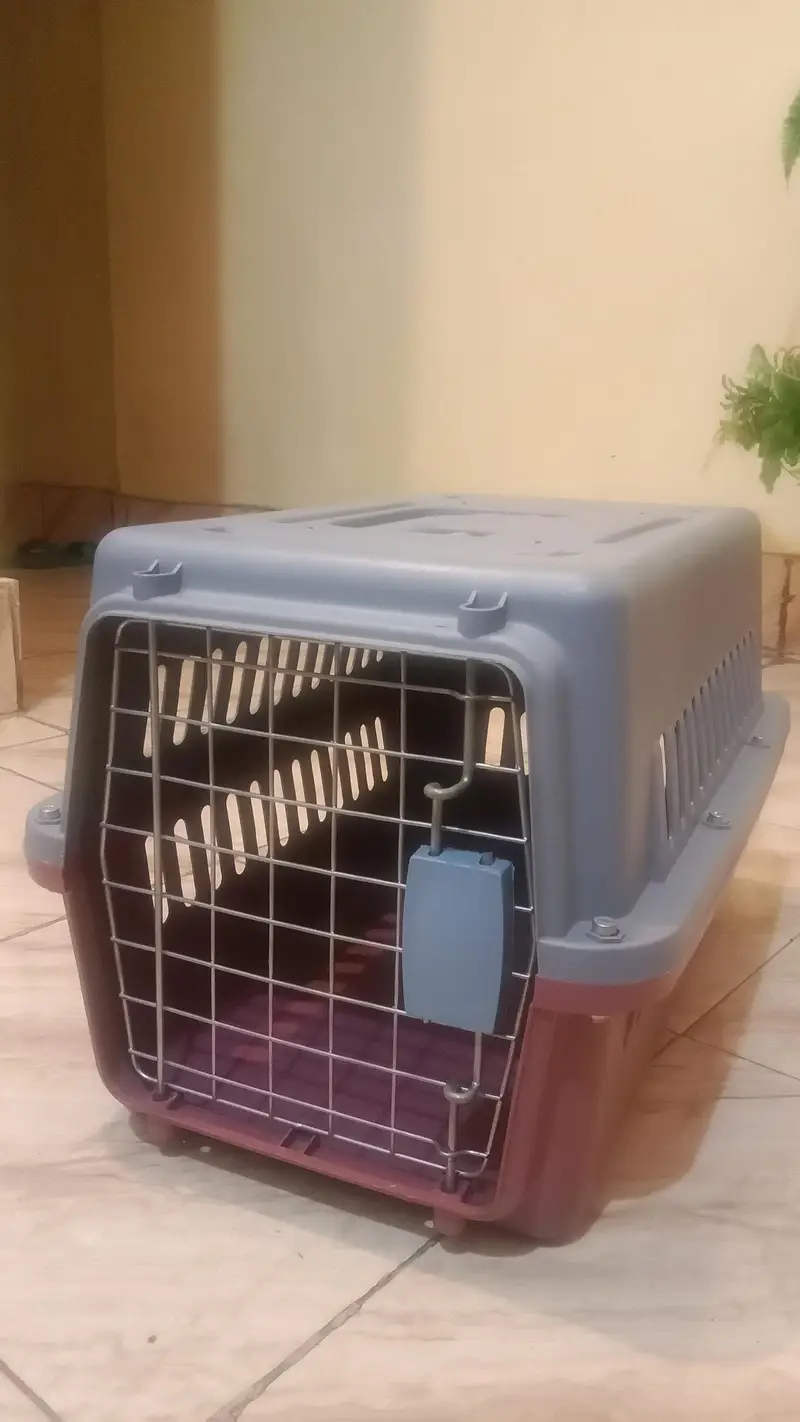 Kitten steel cage & box — photo 7