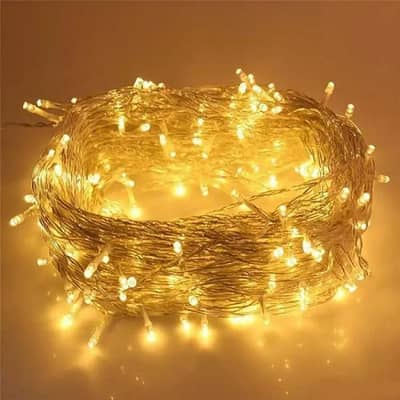 Fairy Lights for Decoration – 20ft to 300ft Available (Warm & White)