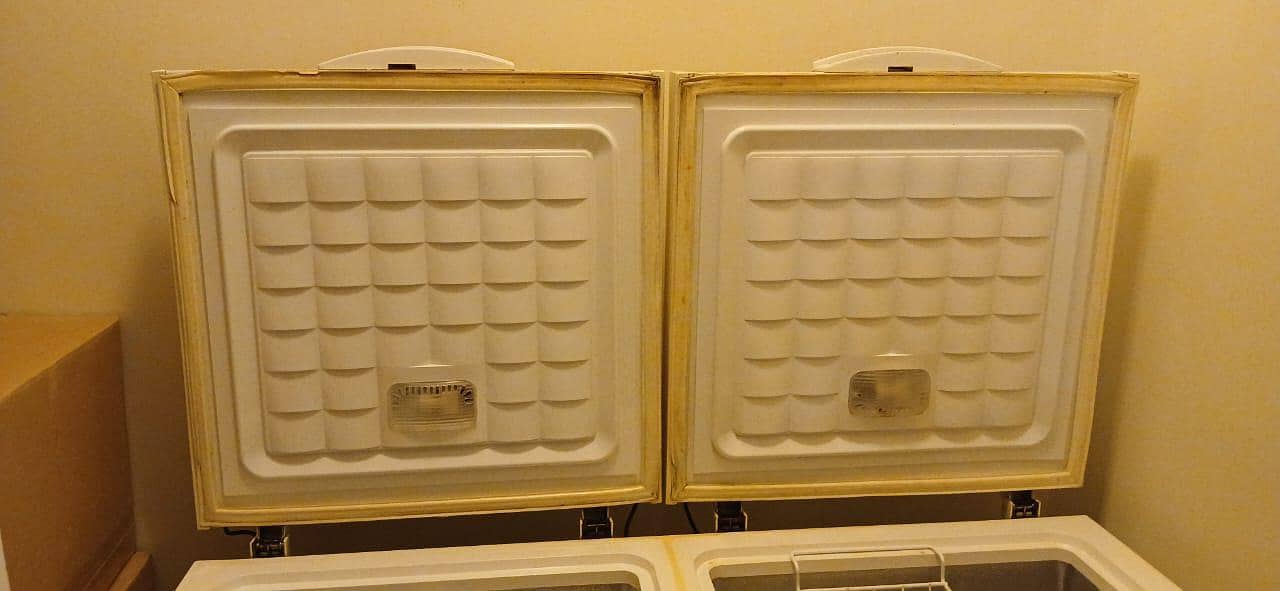 waves Deep freezer 3