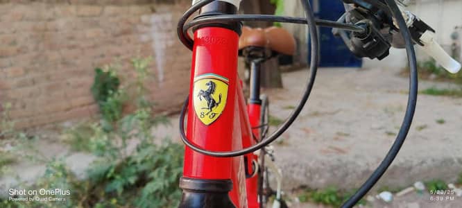 ferrari good looking hybrid bycle