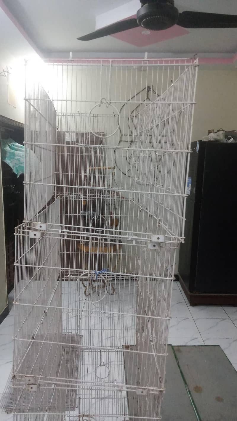 8cage 2