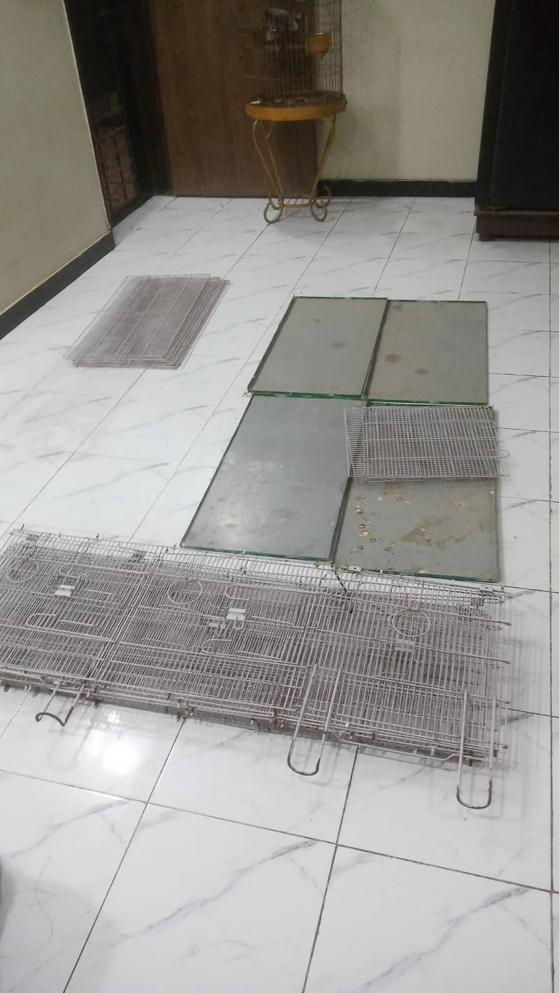 8cage 6
