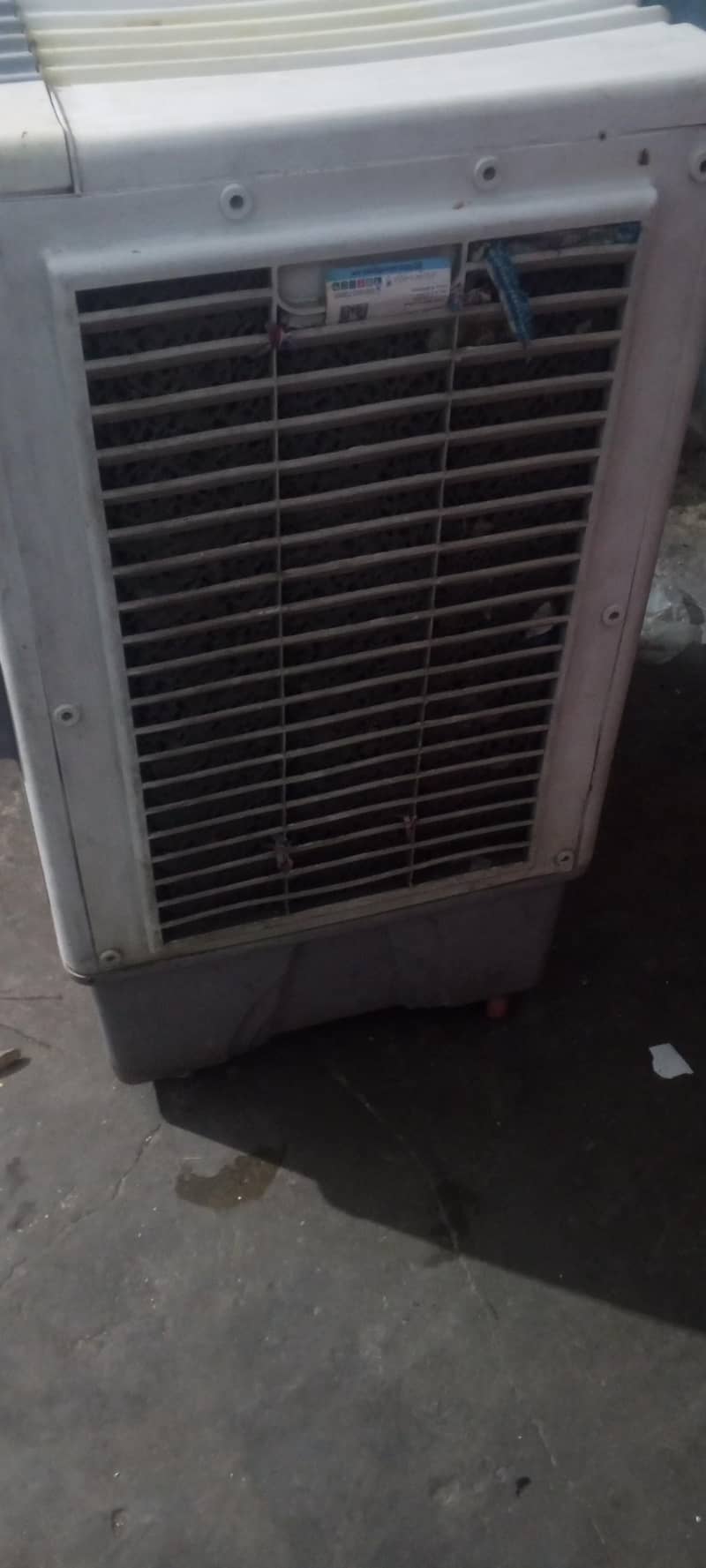 asiaroom. coolers 3