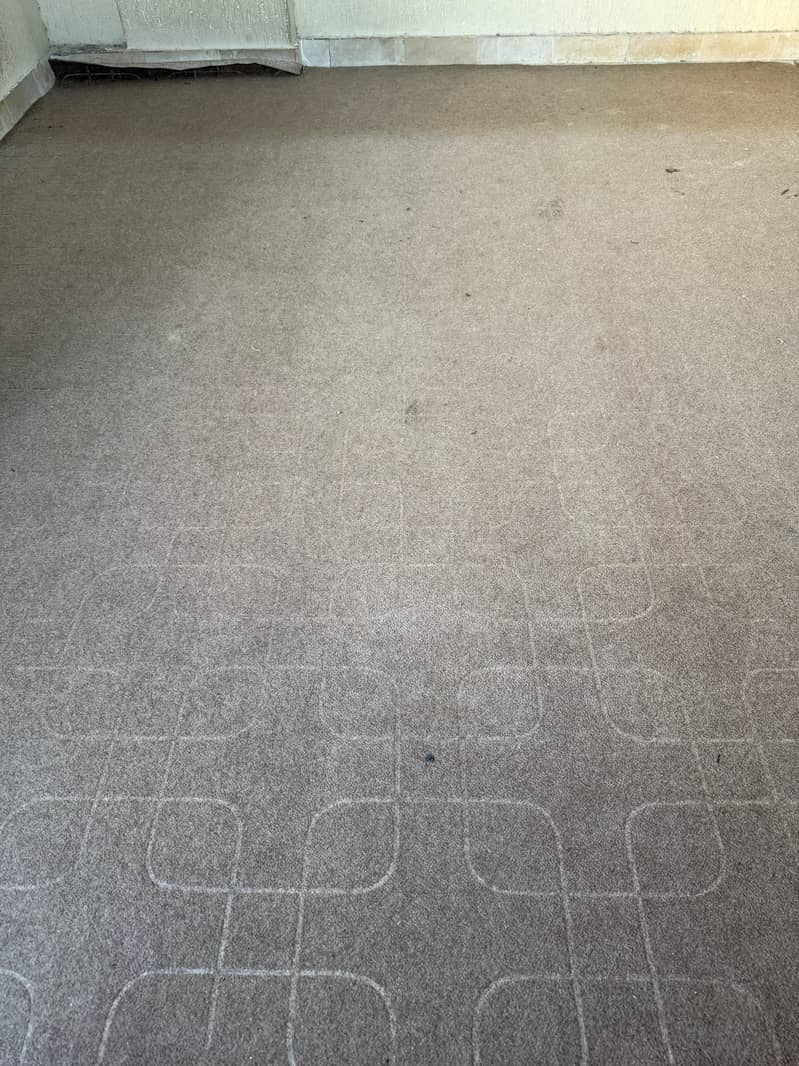 carpert 1