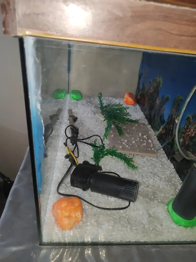 fish aquarium — photo 2