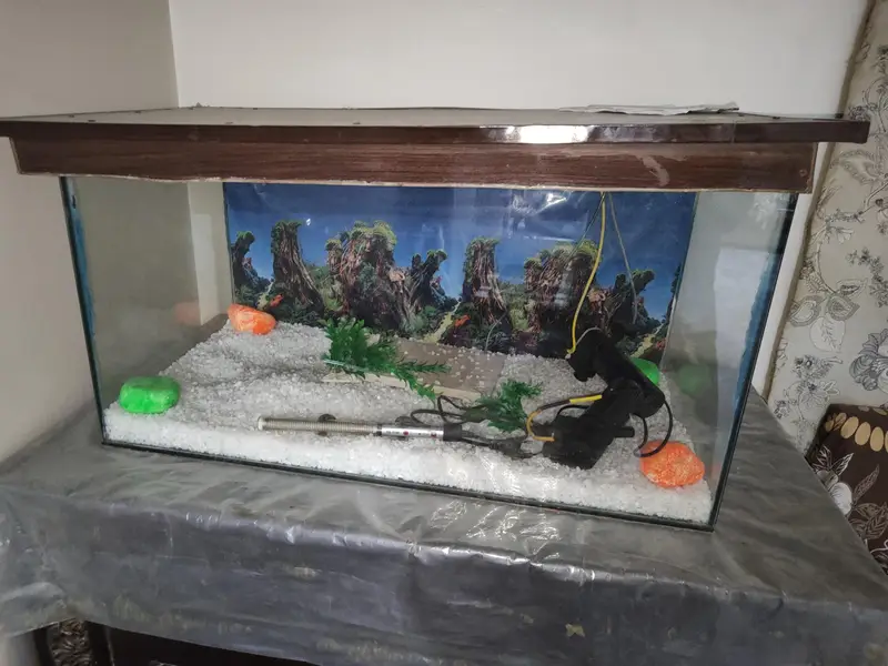 fish aquarium — photo 3