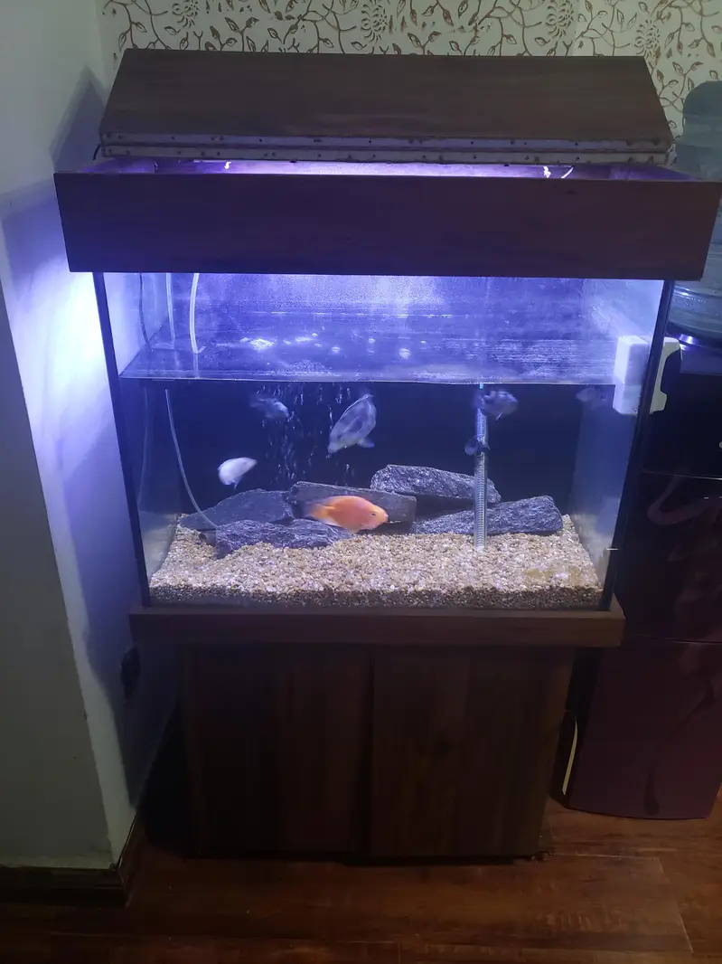 Selling aquarium urgently sell