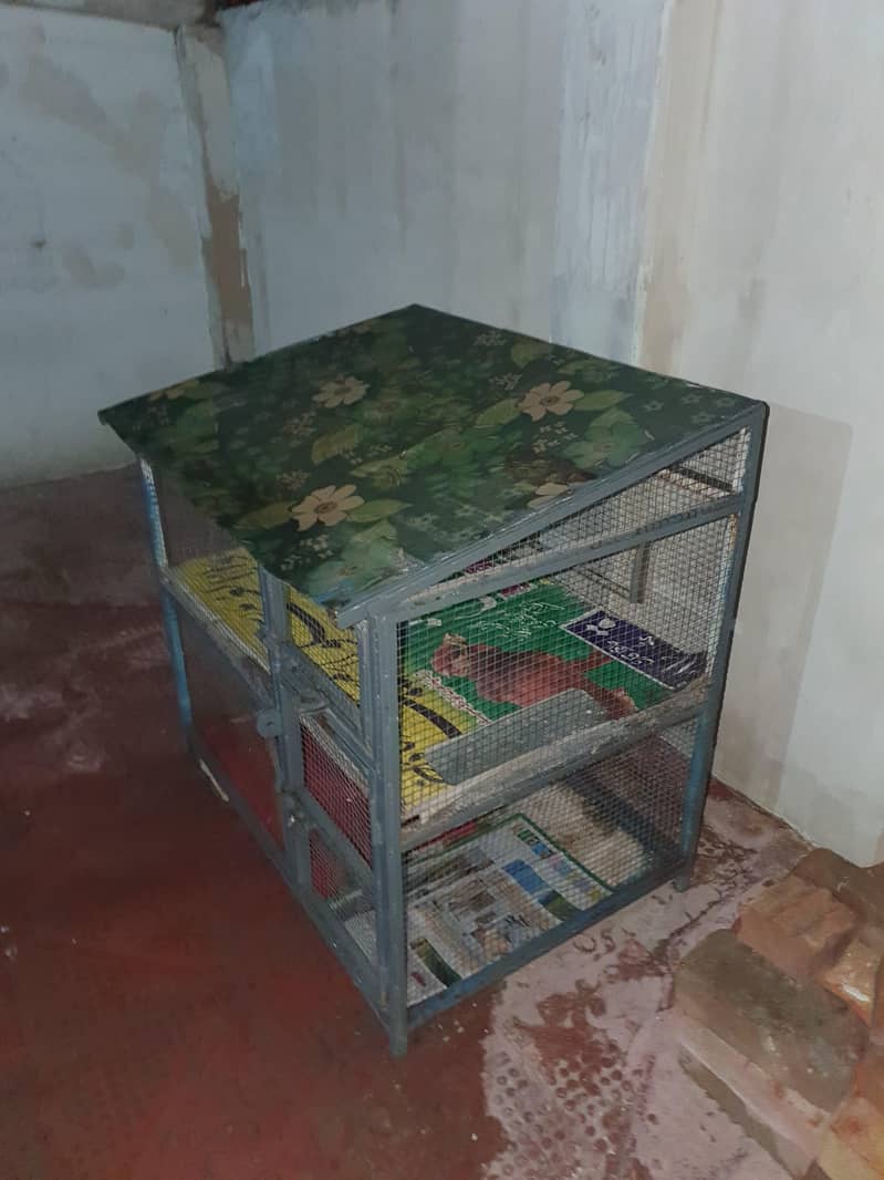 Two section cage 2