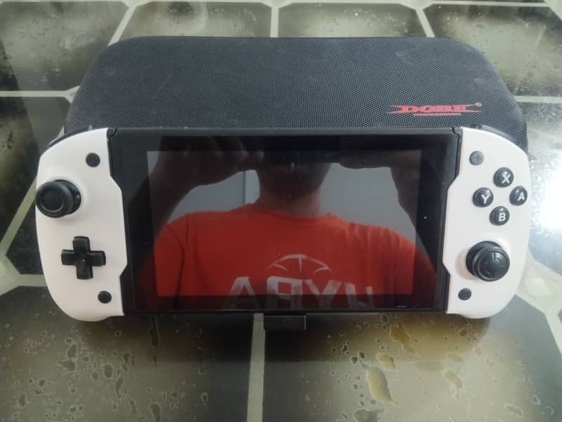 Nintendo Switch with Doge Controller 2
