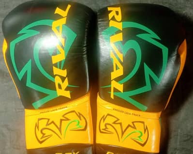 Fighting Boxing Gloves