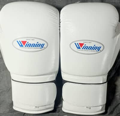 Fighting Boxing Gloves
