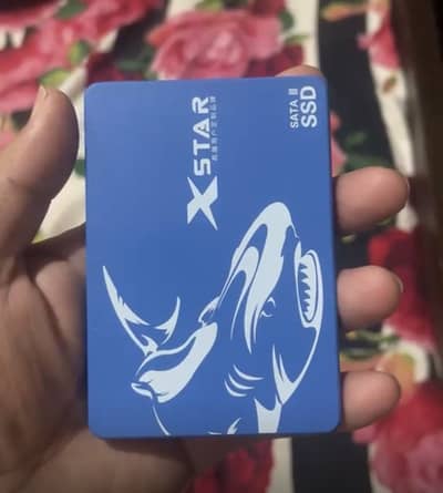 256 Gb ssd ha