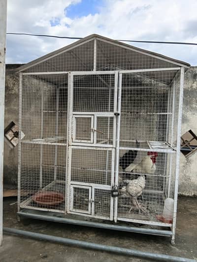 Parrot/Hens cage