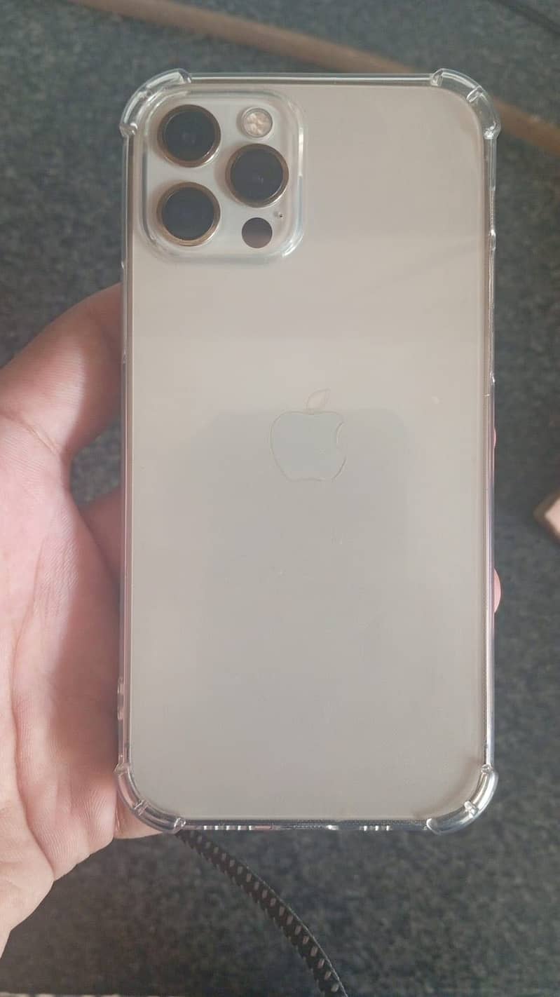 iPhone 12 0