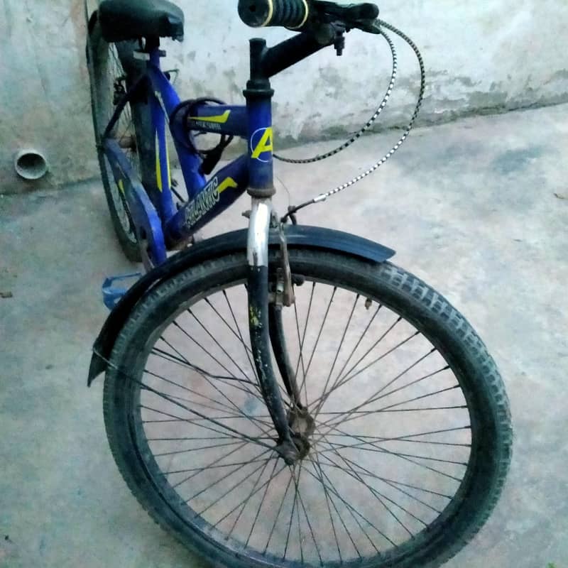Cycle 2