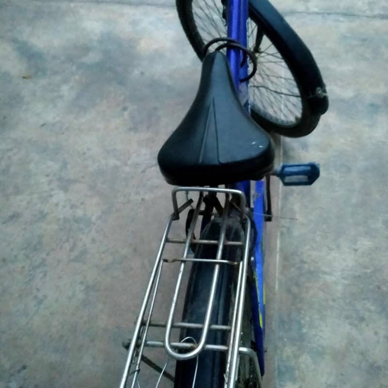Cycle 5