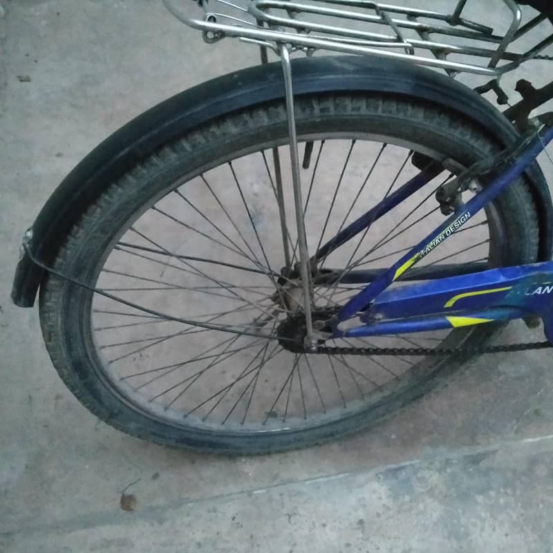 Cycle 6