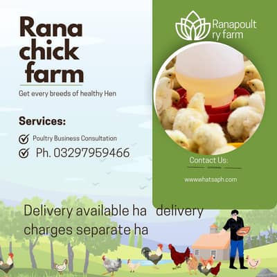har din ka available ha