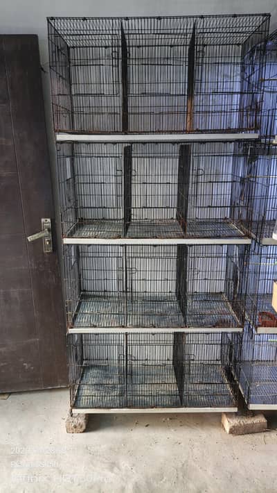 12 Portion Folding Cage