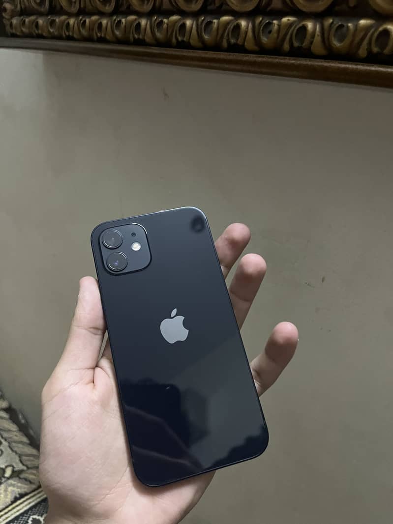 iPhone 12 2
