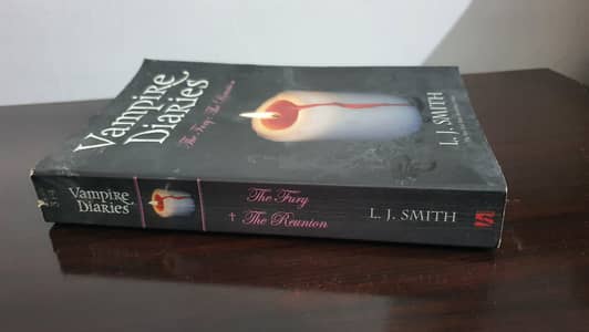 Vampire Diaries Novel (Fury & Reunion Combined Edition)