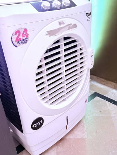 Rays cooler for sale