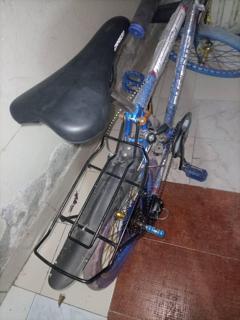 03238516810 6