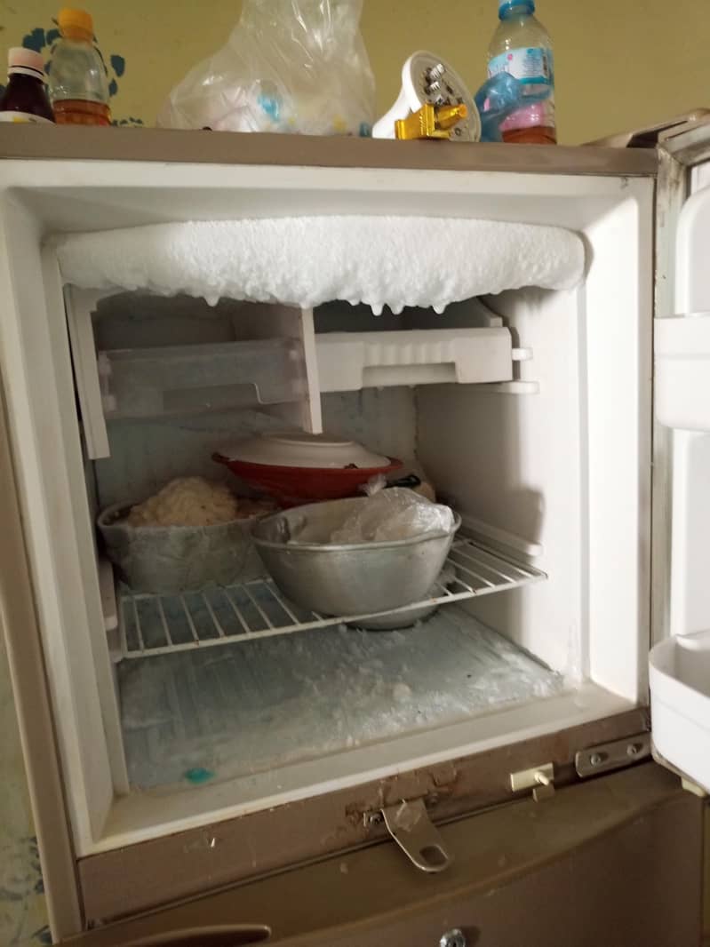 fridge 1