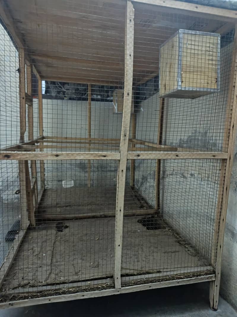 pegion cage 1