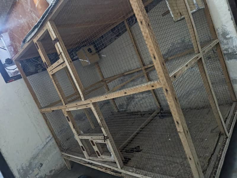 pegion cage 2