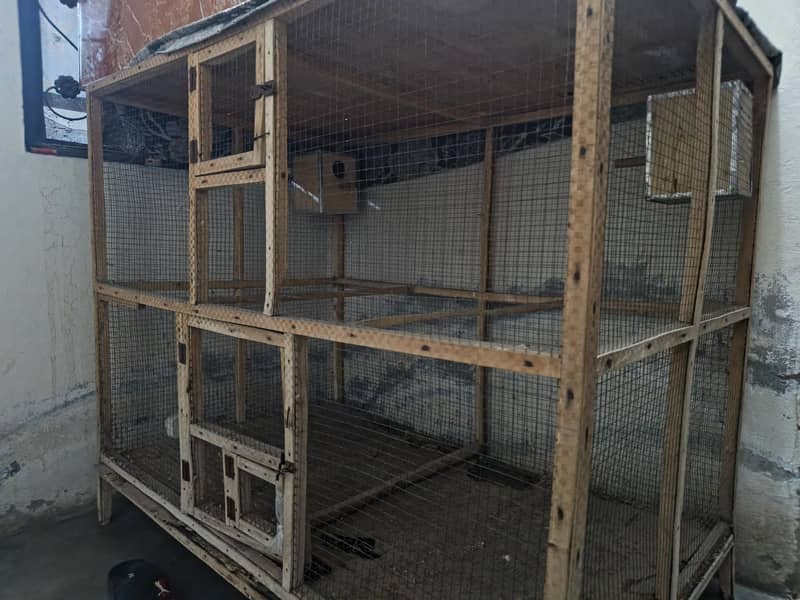 pegion cage 3