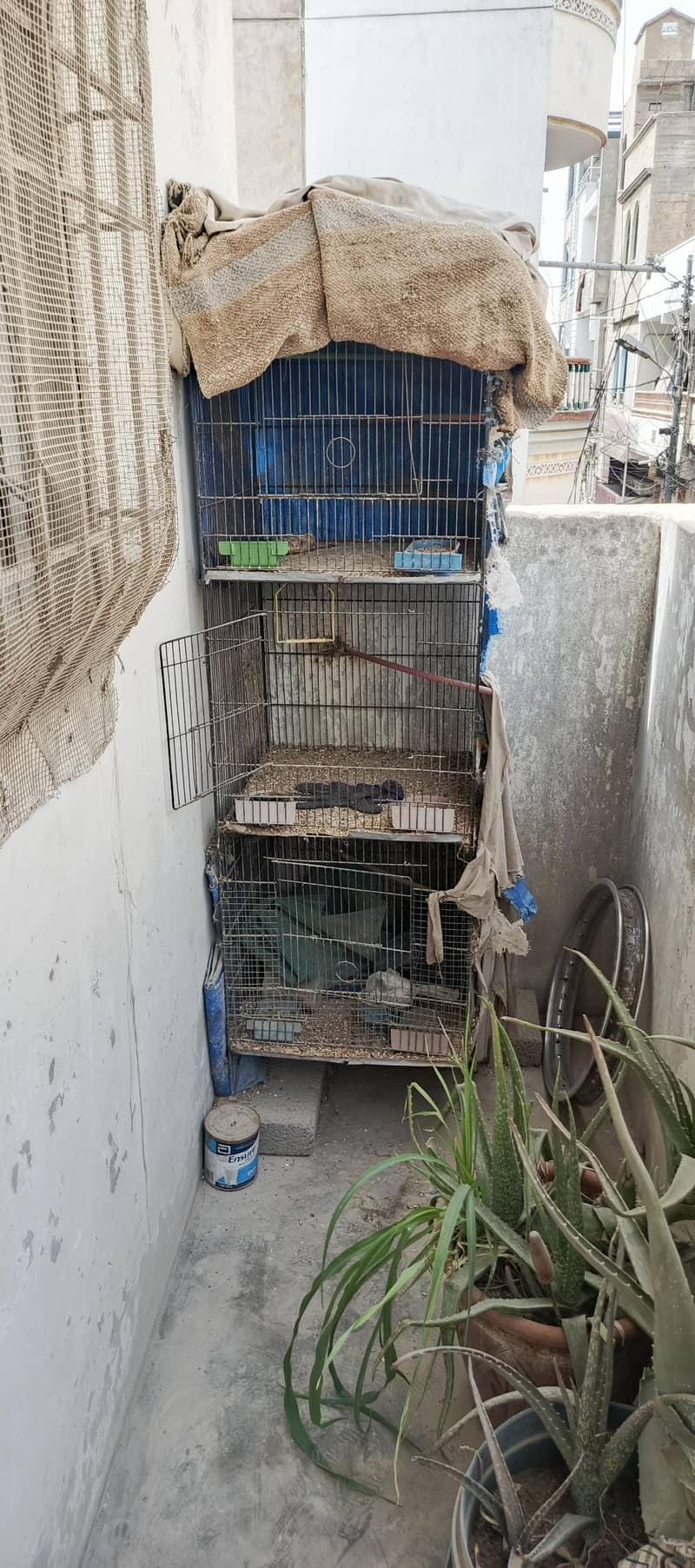 cage 3 0