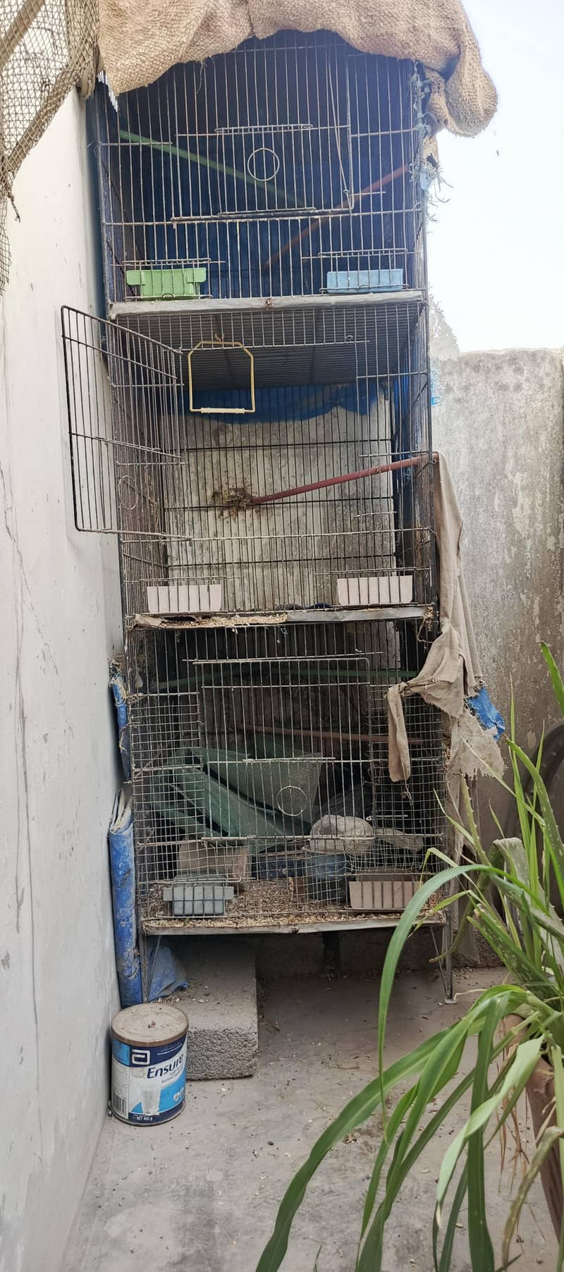 cage 3 2