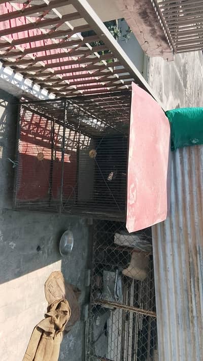 cage available