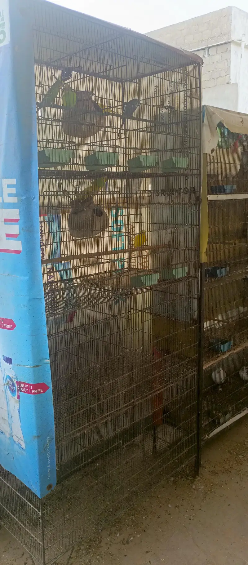 iron cage birds cage 4 portion 8 portion 12 portion
