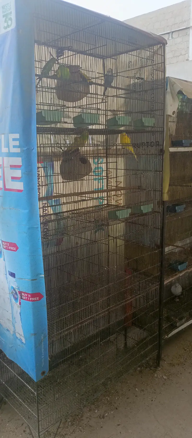 iron cage birds cage 4 portion 8 portion 12 portion — photo 2