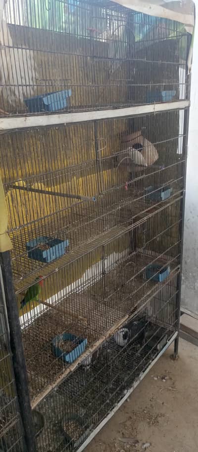 iron cage birds cage 4 portion 8 portion 12 portion