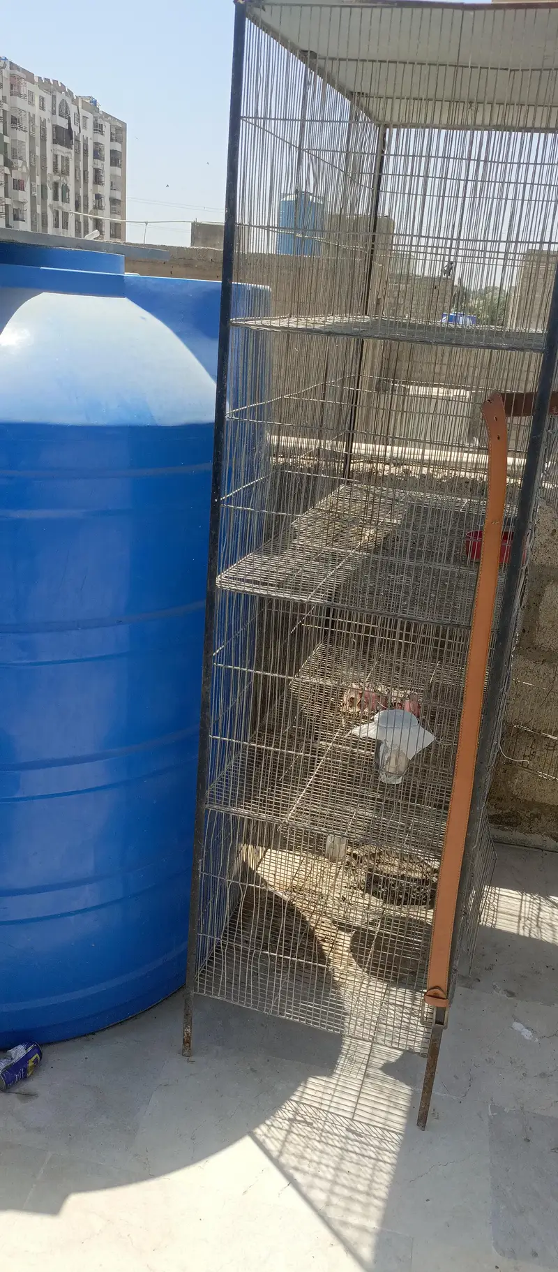 iron cage birds cage 4 portion 8 portion 12 portion — photo 9