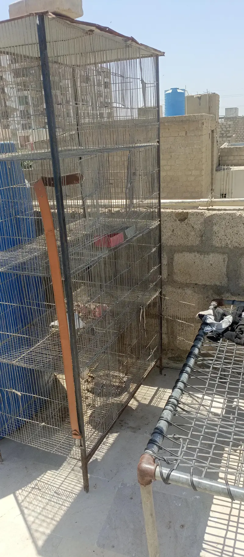 iron cage birds cage 4 portion 8 portion 12 portion — photo 10