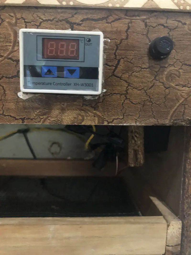 50 eggs incubator 10/8 condition — photo 5