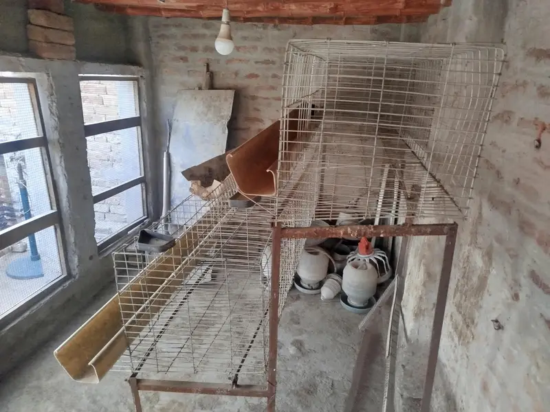 cage Available for sale — photo 2