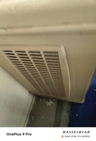 only one year use