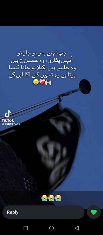 laraibzahra