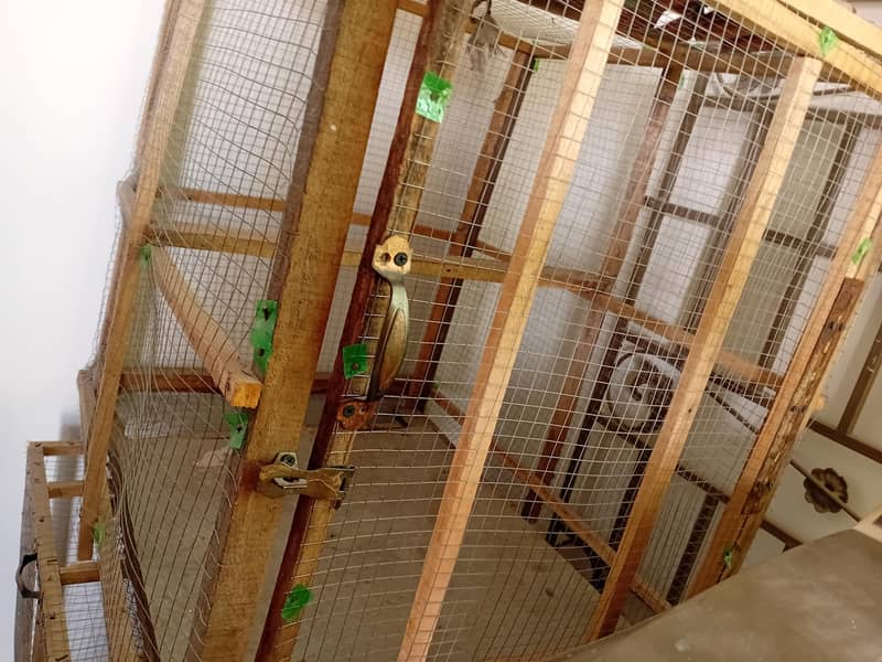 piegons cage 0