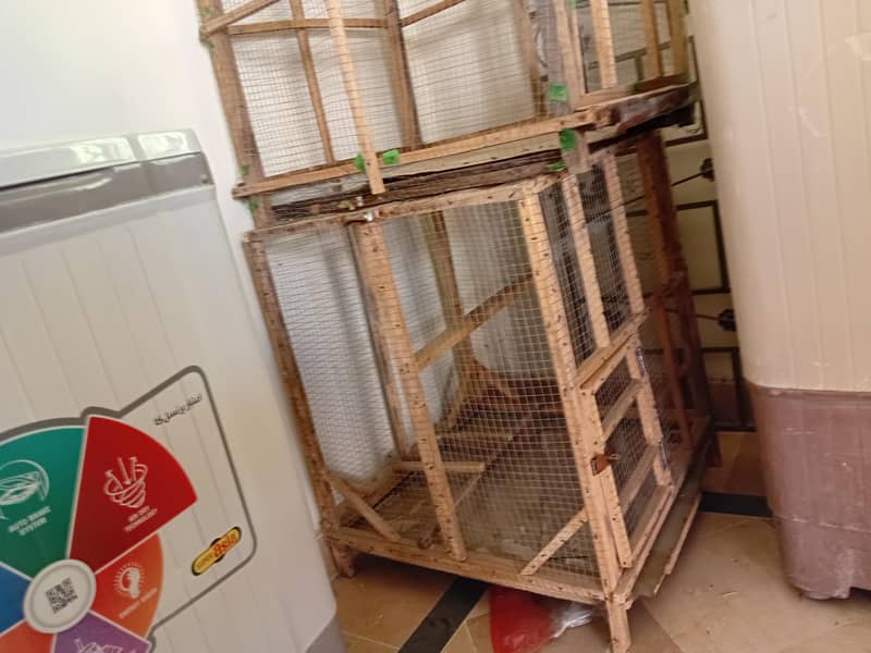 piegons cage 1