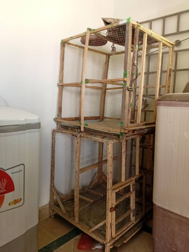 piegons cage 2