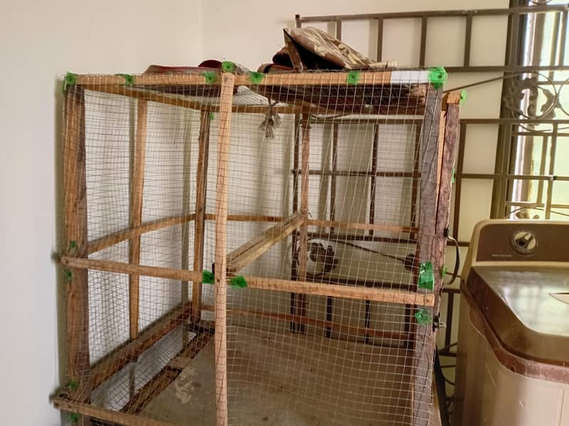 piegons cage 4