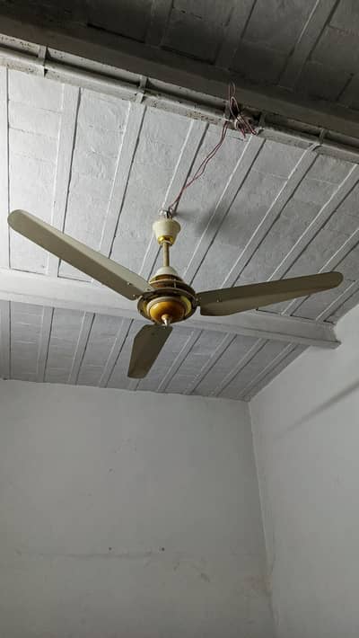 Star Asia Coper Fan