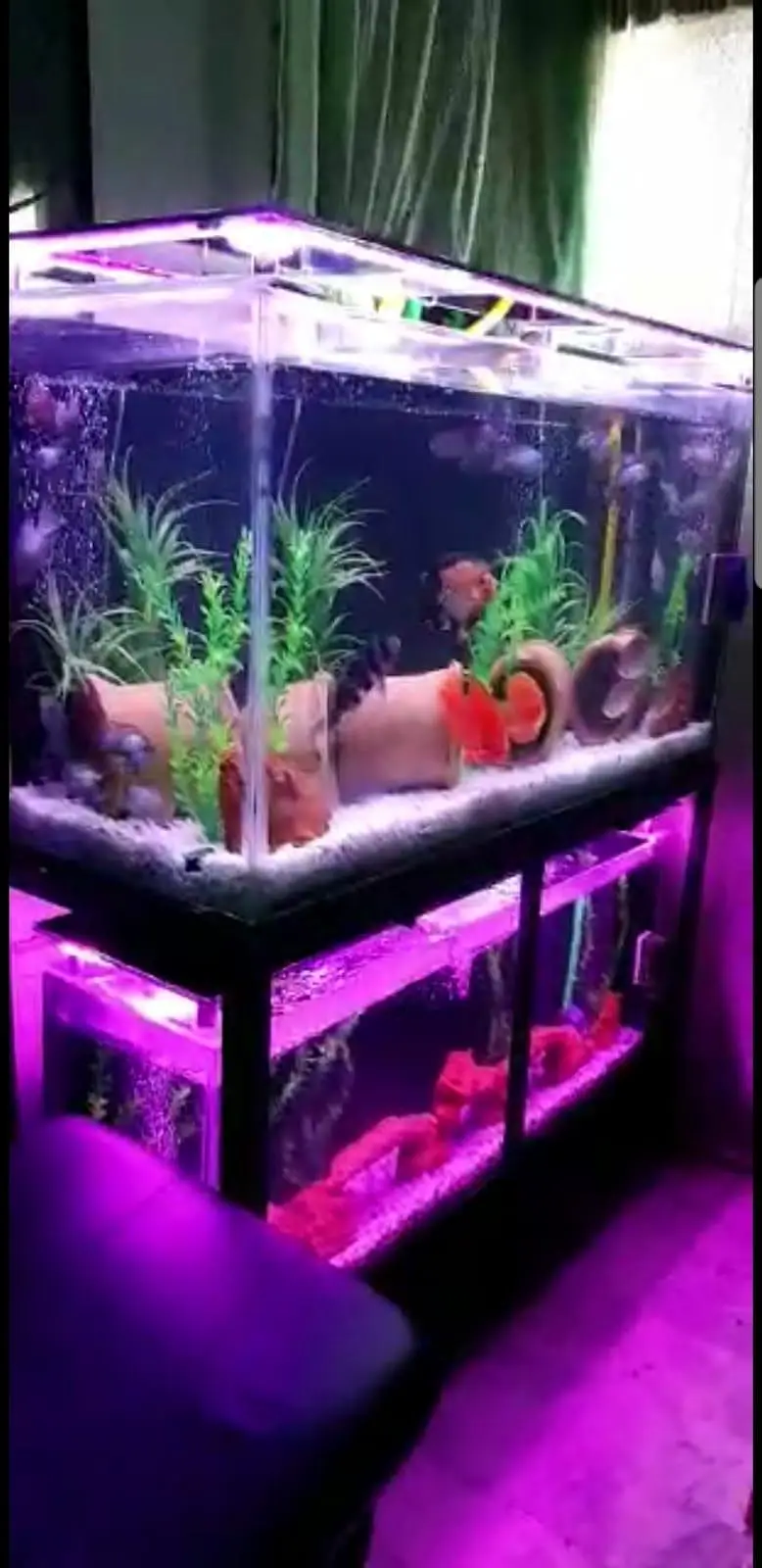 Stacked Aquariums — photo 2